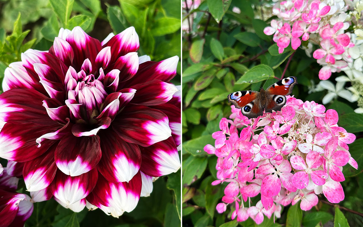 Средневековый театр, Моцарт и выставка винтажных авто: афиша с 25 по 31 августа 