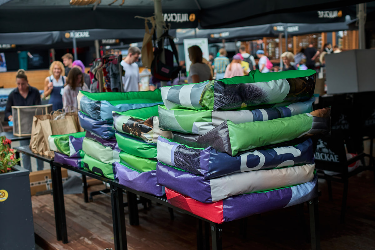 Как Betera объединяет сотрудников, блогеров и спорт ради помощи животным