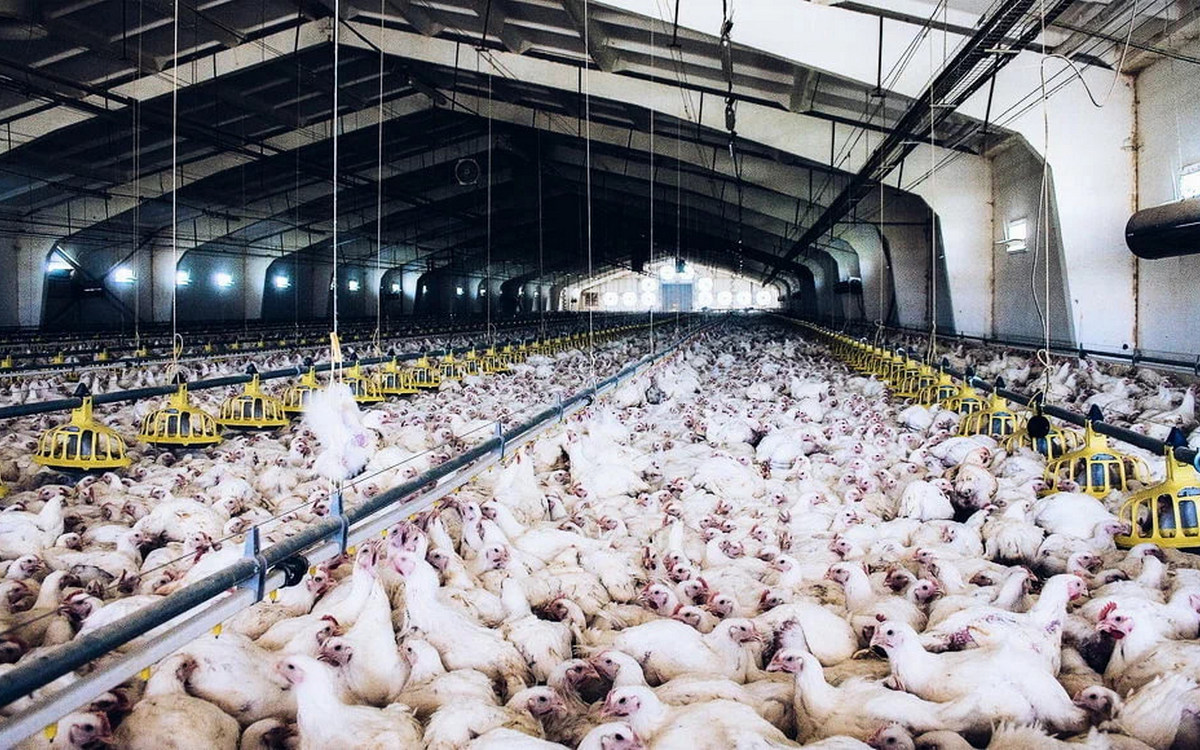 Топ-15 слияний и&nbsp;поглощений бизнеса в&nbsp;Беларуси за&nbsp;2025 год