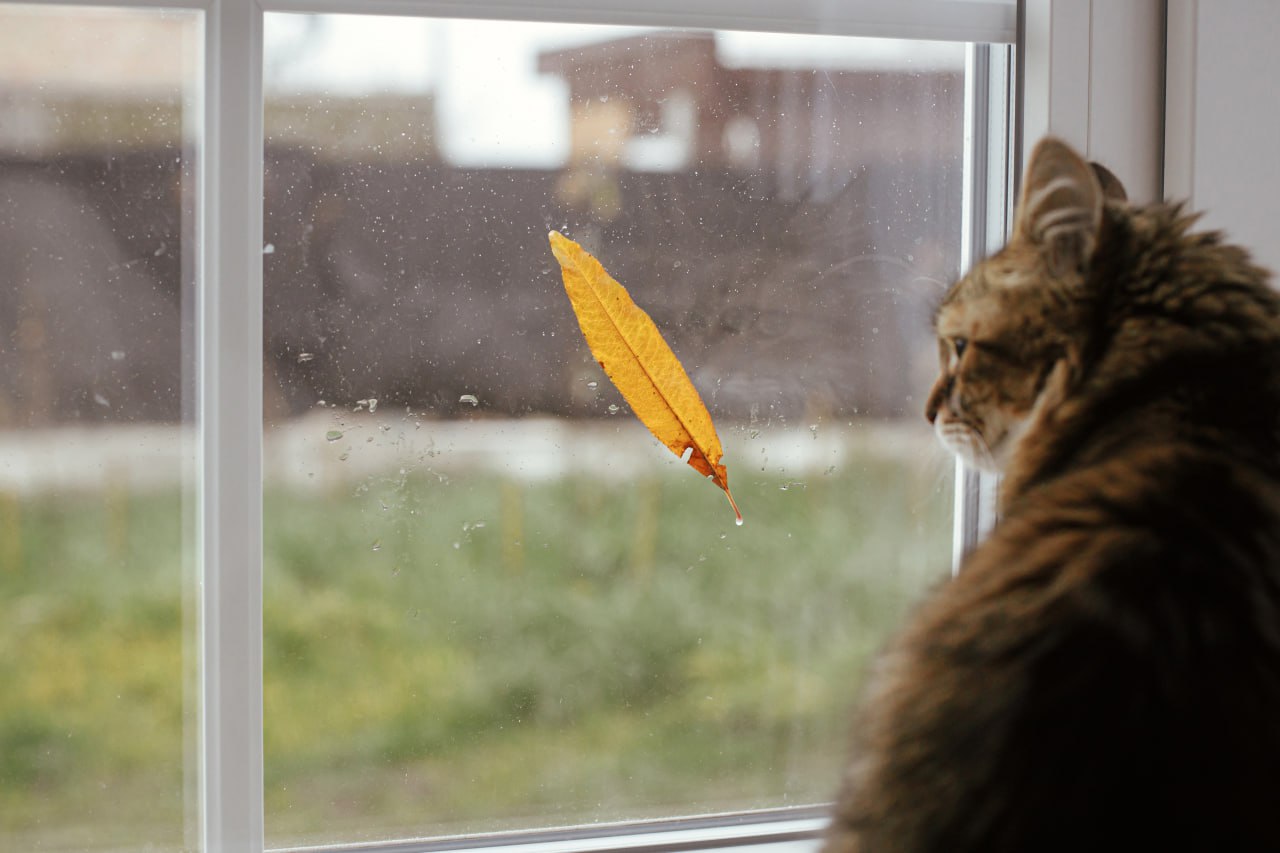 Опять непогода? Синоптики объявили оранжевый уровень опасности на последние выходные июня
