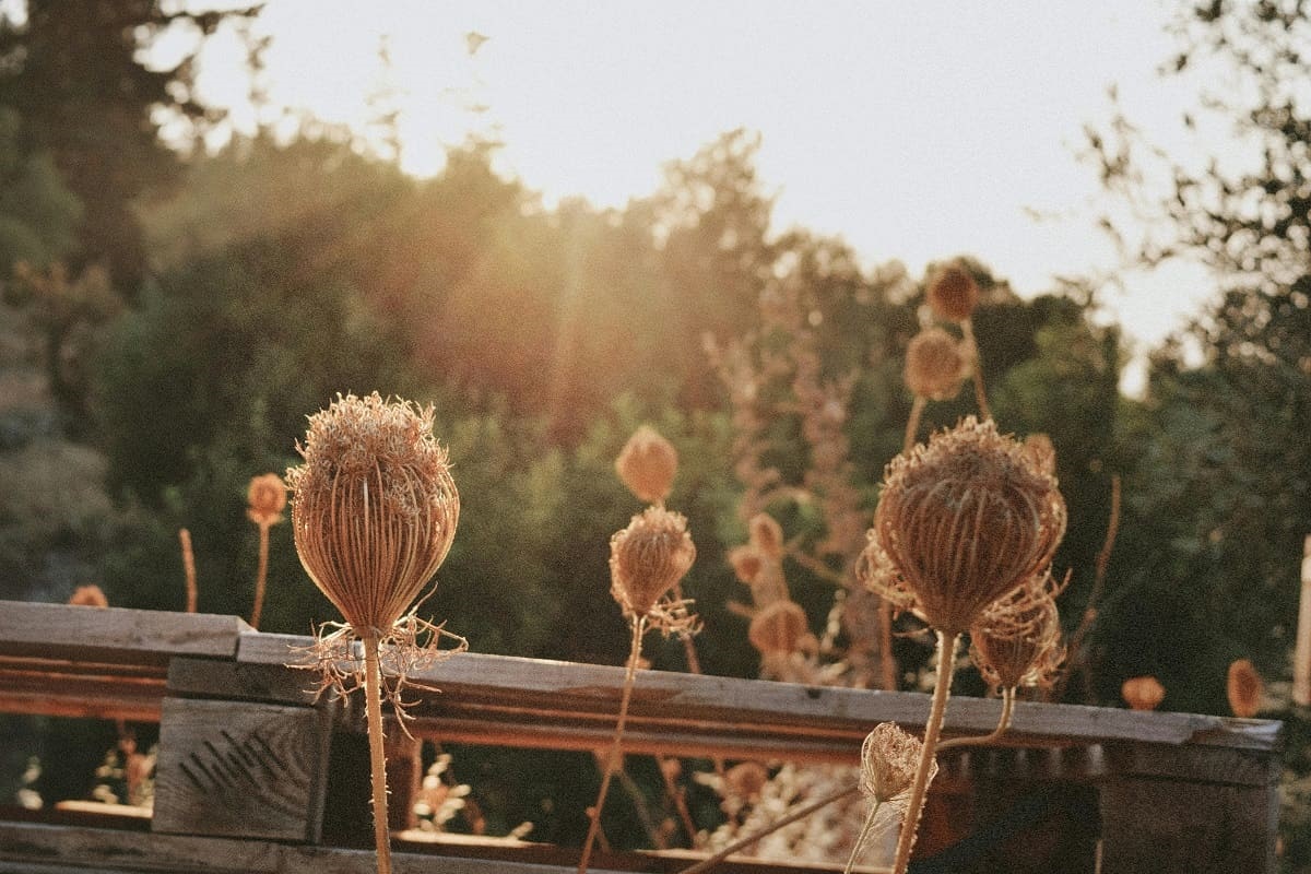 В Беларусь идет пятое время года: прогноз синоптиков на первую неделю сентября