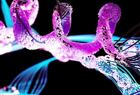 Аминокислоты и микроэлементы для пищевой и кормовой промышленности: как выбрать и где купить в Минске