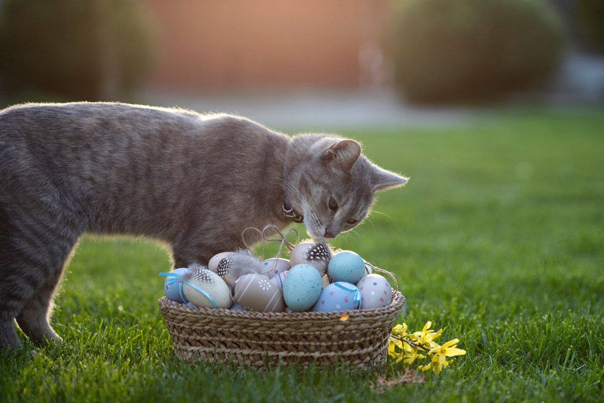 Какая погода будет в Беларуси на православную Пасху