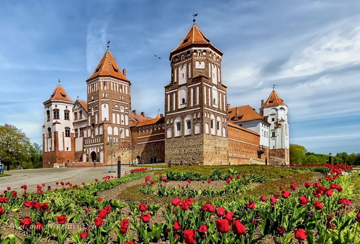 В Беларуси вступил в силу новый закон «О туризме»: что изменилось