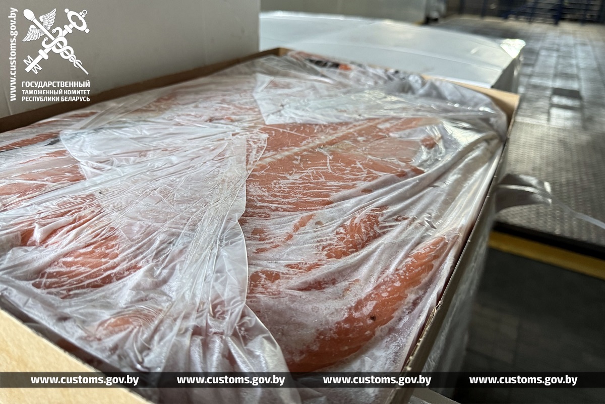 Таможня раскрыла схему контрабанды рыбы и креветок в Беларусь на $14 млн 