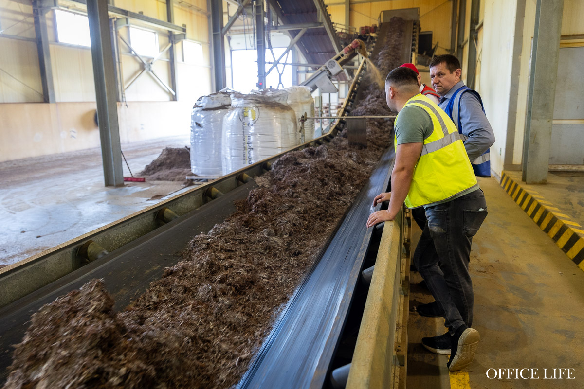 Шампиньон растет 31 день. Как под Кобрином делают грибницу с искусственным интеллектом