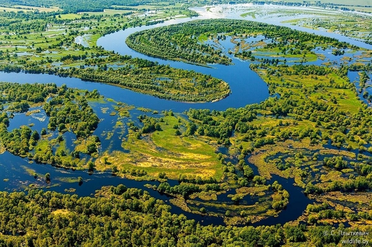 Половодье еще не началось, а в Беларуси уже очередь на «море Геродота» и сплавы на байдарках