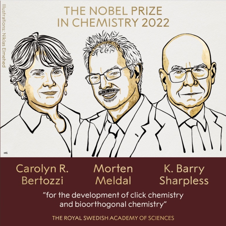 Нобелевскую премию по химии вручили за инновационные методы органического синтеза