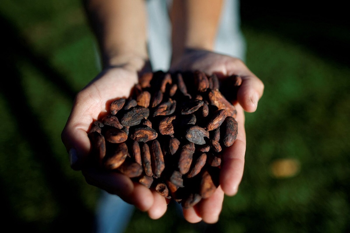 Эстонский производитель какао за год увеличил поставки в Беларусь на 12%