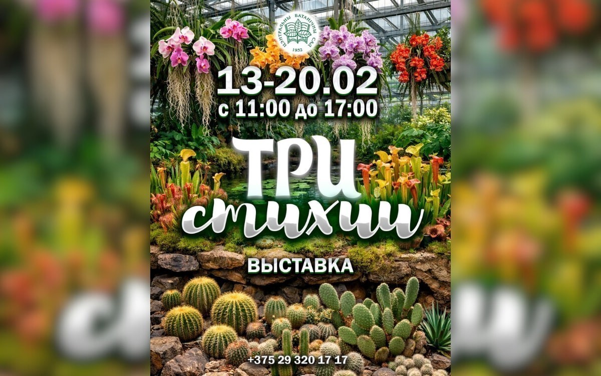 Поэтический батл и&nbsp;премьера неоднозначного «Грозового перевала»: афиша с&nbsp;16&nbsp;по&nbsp;22&nbsp;февраля