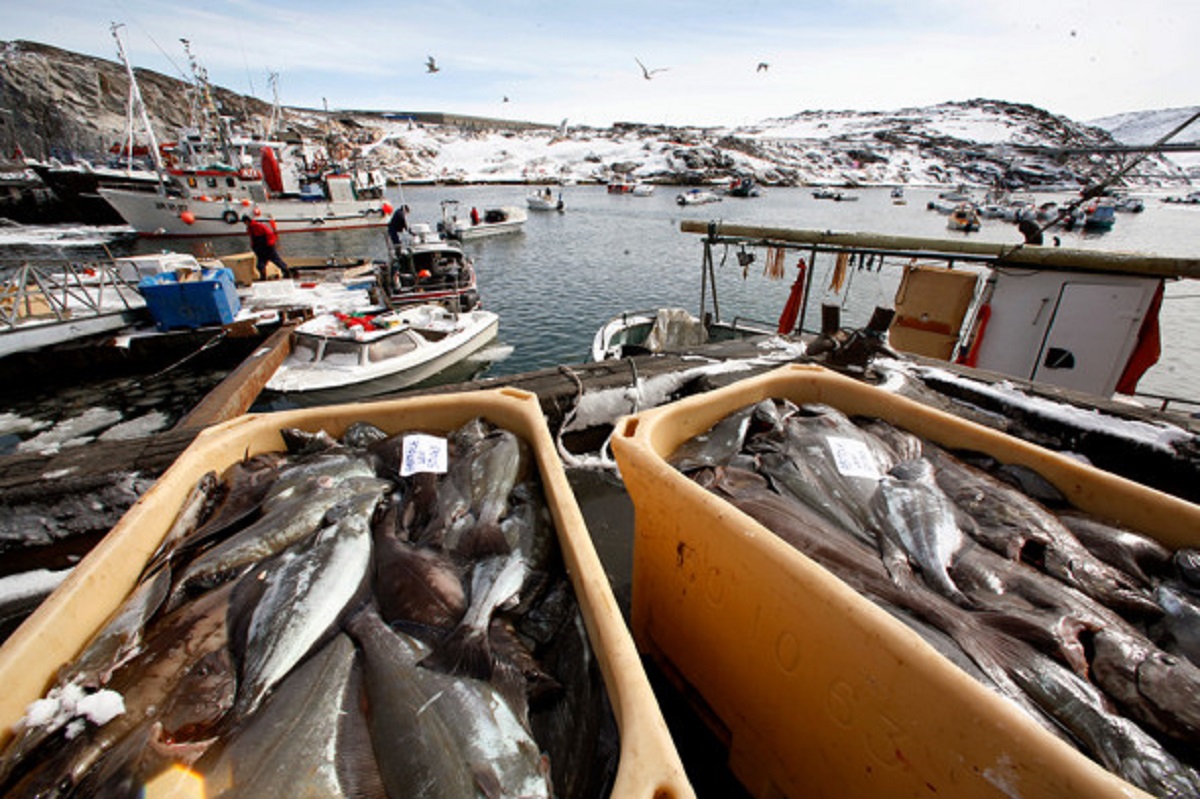 Остров нефти, скованный льдом. Как живет Гренландия, о которой говорит весь мир