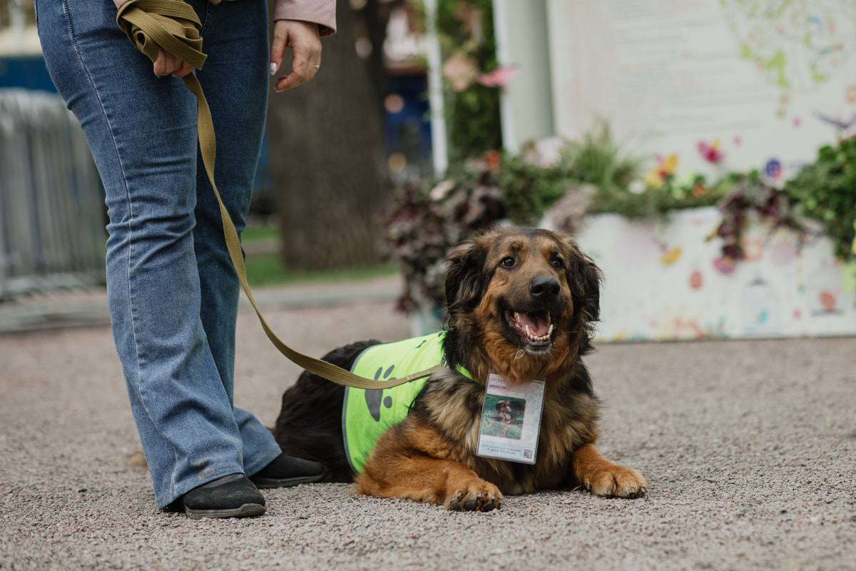 Москва ждет гостей из Беларуси на самый добрый весенний фестиваль — «Пасхальный дар»
