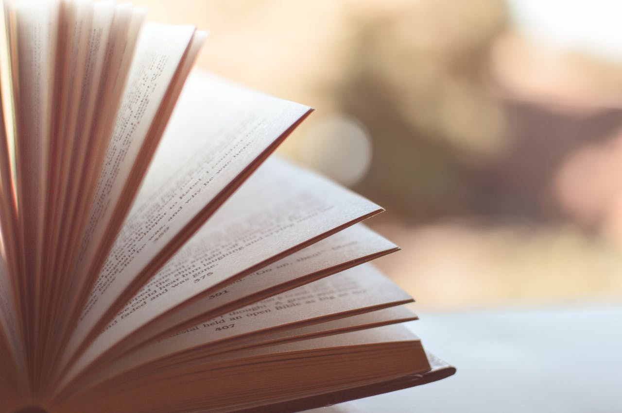 В Беларуси запретили продавать еще 17 книг