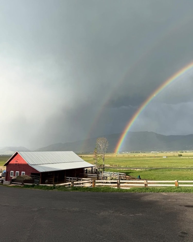 Босая, беременная и с коровой: почему женщины опять выбирают патриархат