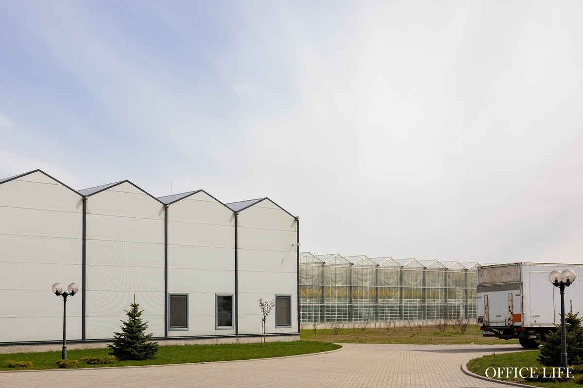 Об этих белорусах Netflix мог бы снять сериал. Вдохновляющая история про семейный бизнес, красивые огурцы и про то, что нет ничего невозможного 