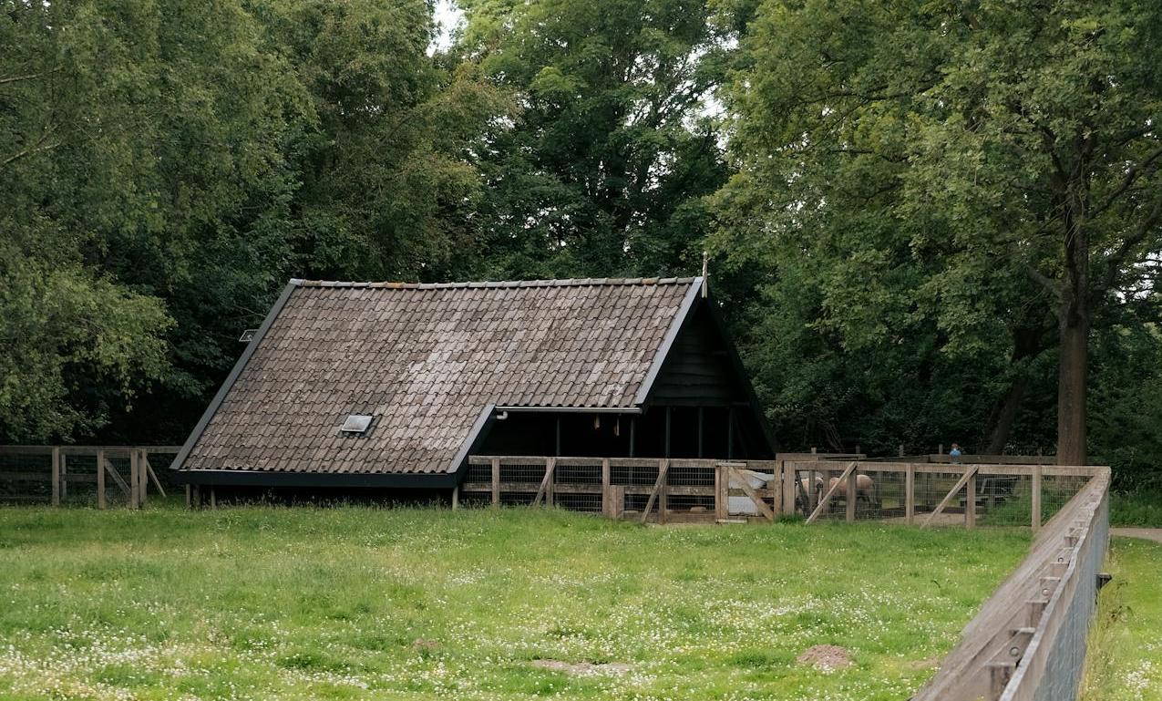 В Беларуси планируют поправки в законодательство о земельной амнистии. Что изменится