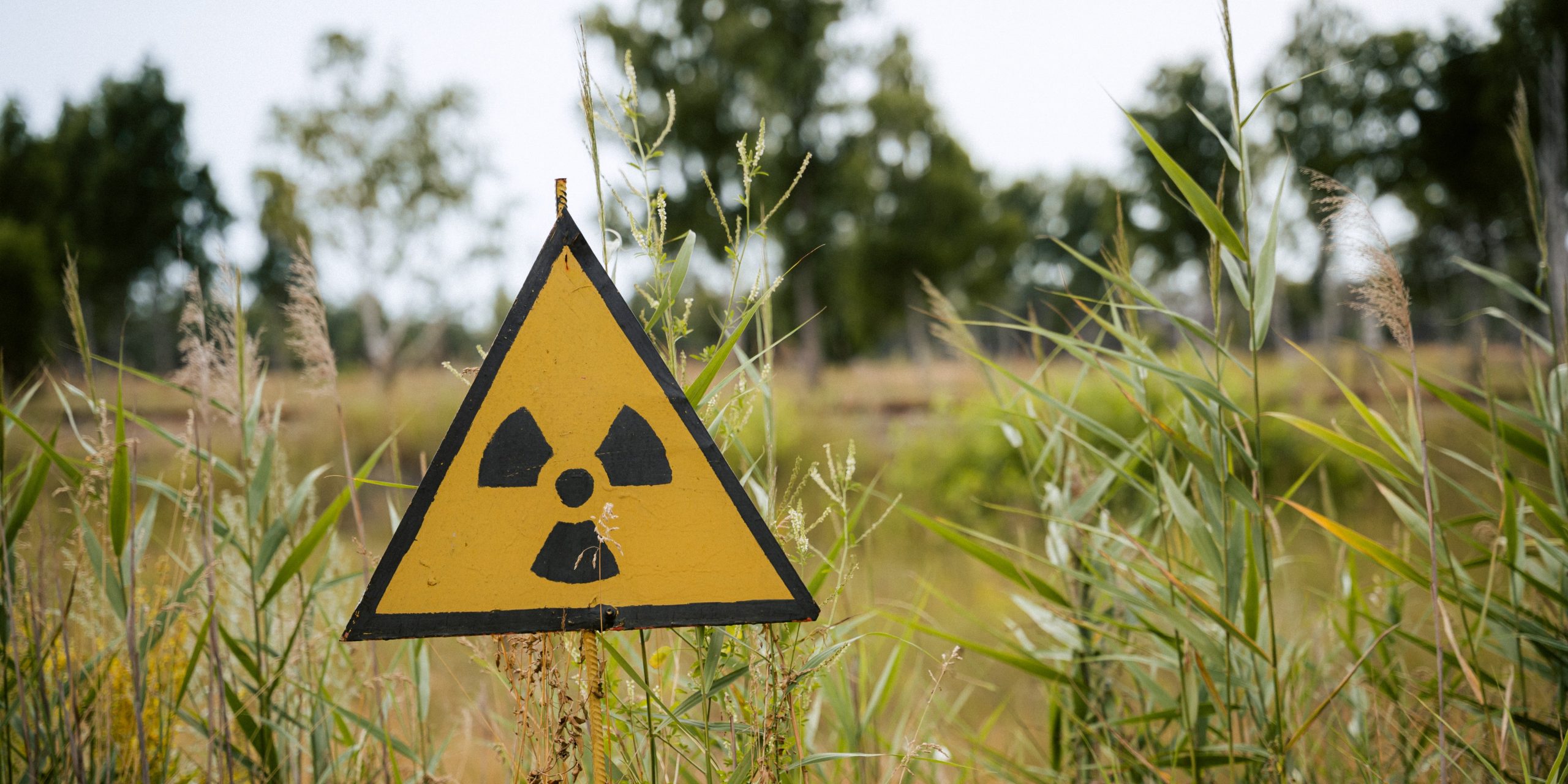 Где в Беларуси может появиться площадка для радиоактивных отходов