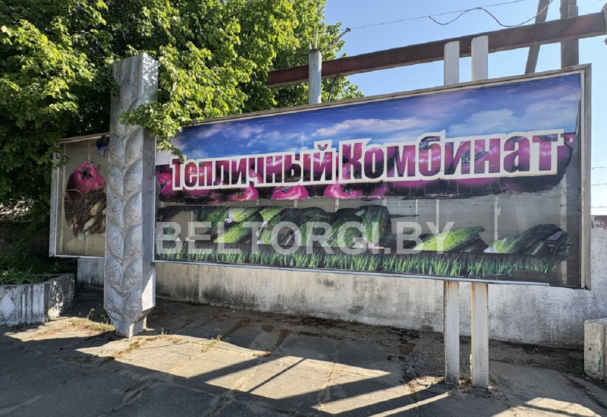 В Бобруйске с дисконтом в 90% продают частный тепличный комбинат