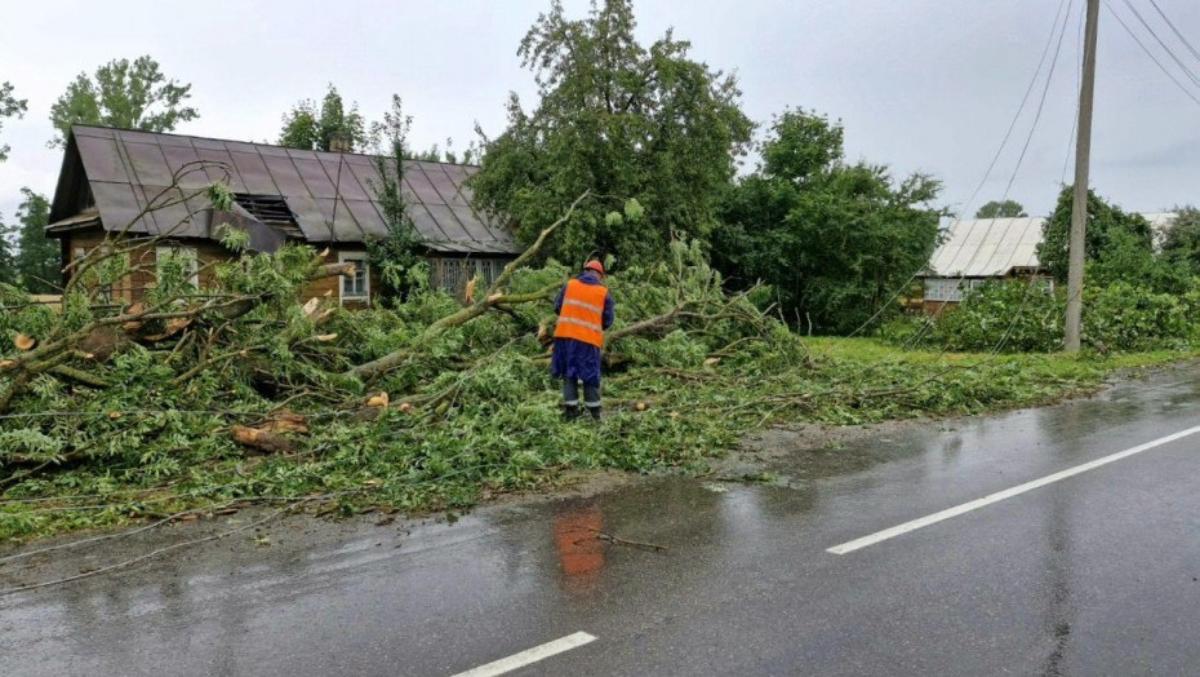 Каких бед натворила циклон 