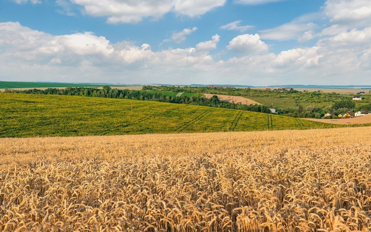 Российская экономика в&nbsp;2026&nbsp;году: где для Беларуси риски, а&nbsp;где возможности
