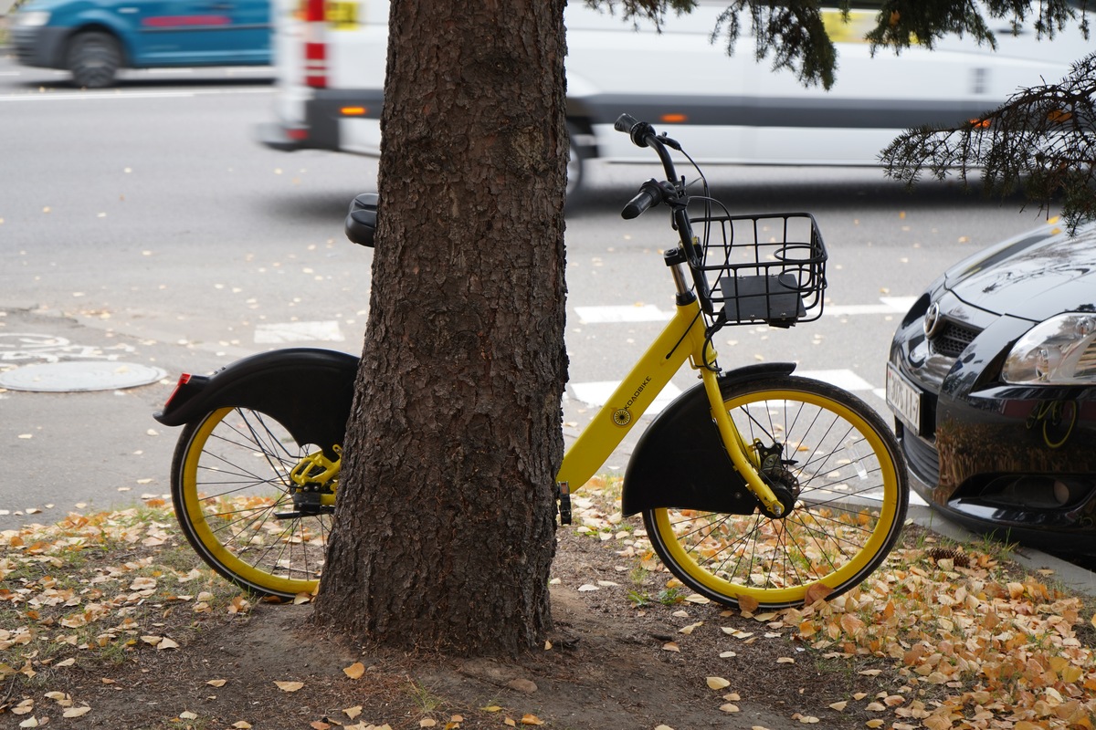 В ГАИ оценили, как повлияло на безопасность изменение ПДД для велосипедов и самокатов