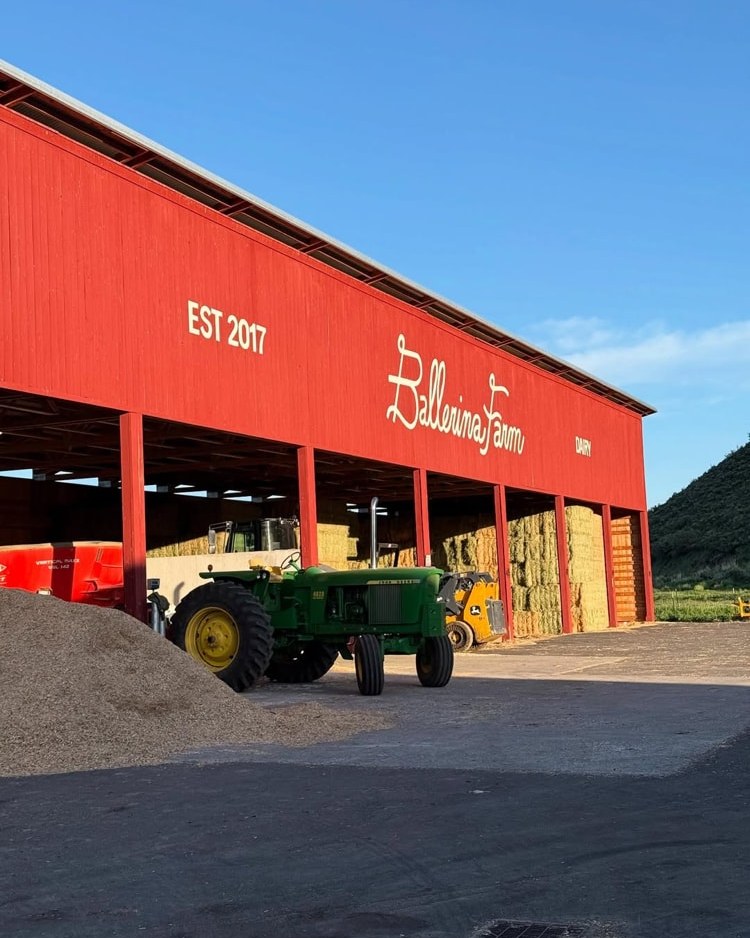 Босая, беременная и с коровой: почему женщины опять выбирают патриархат