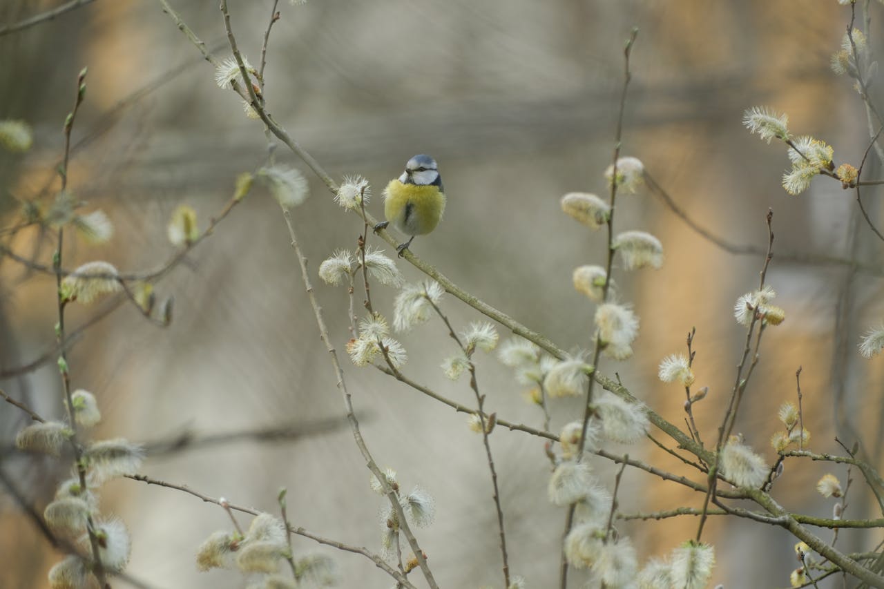 Прощай тепло. Синоптик рассказал о резком похолодании на новой рабочей неделе