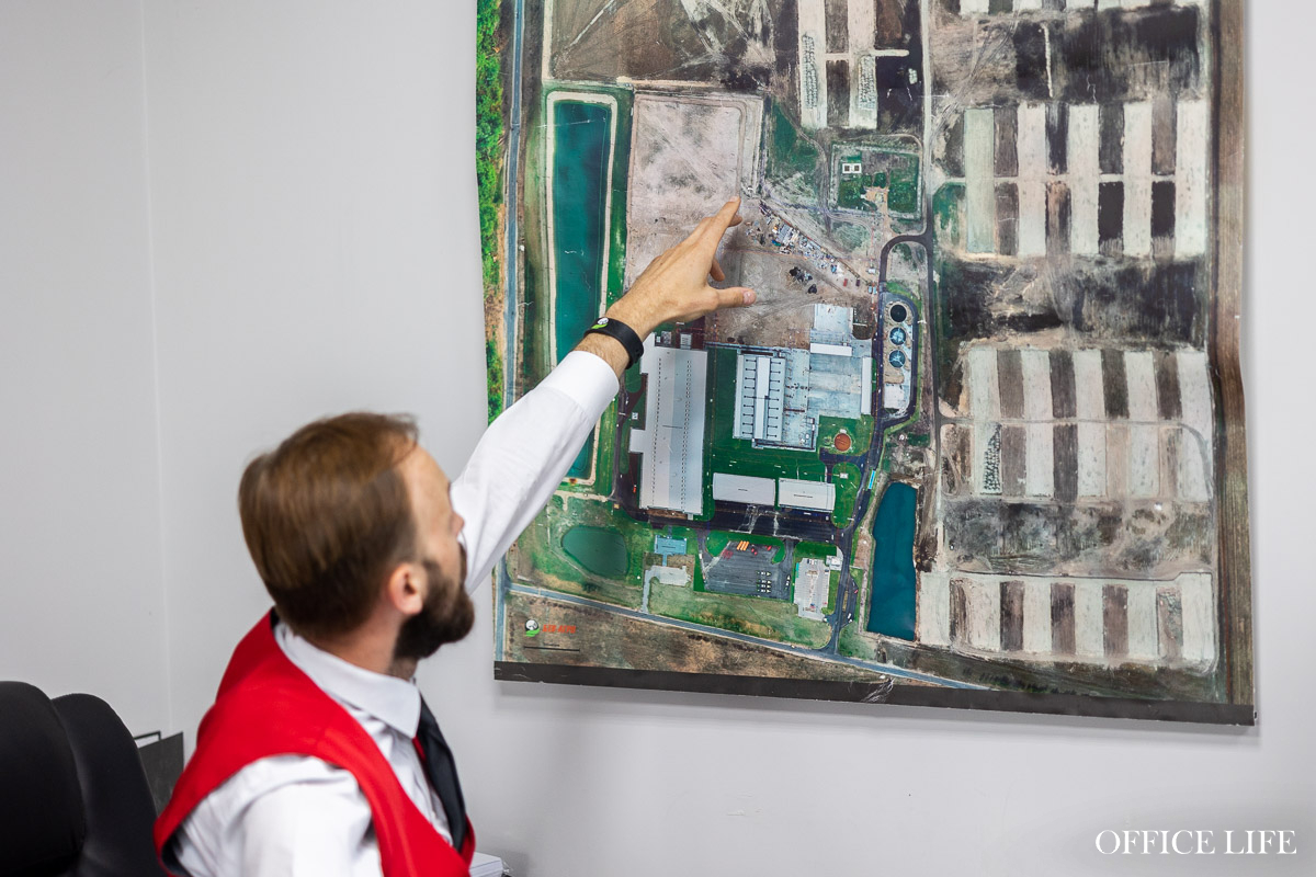 Шампиньон растет 31 день. Как под Кобрином делают грибницу с искусственным интеллектом