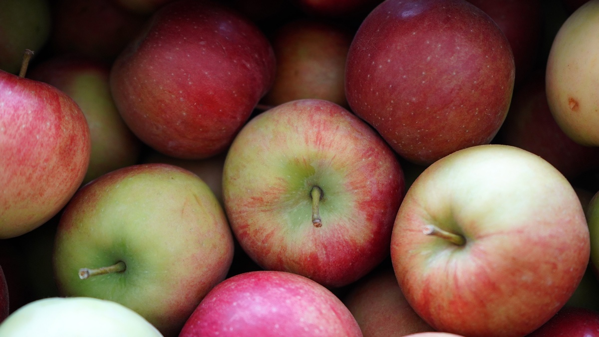 Когда Беларусь откажется от импортных яблок? Прогноз Минсельхозпрода