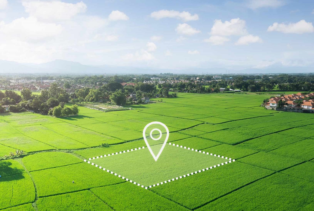 Стоимость всех земель в Беларуси оценили в $216 млрд