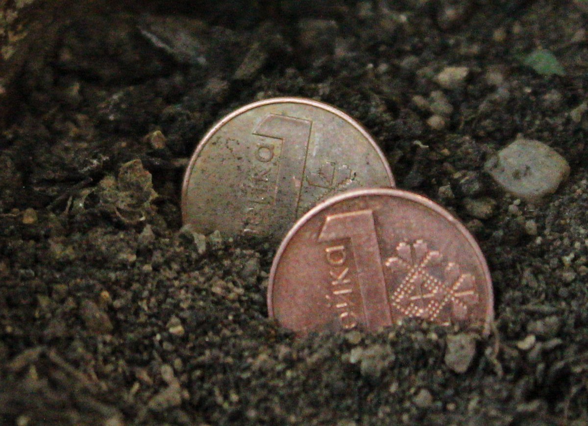 За полгода налоговики выявили более 106 млн скрытой наличной выручки