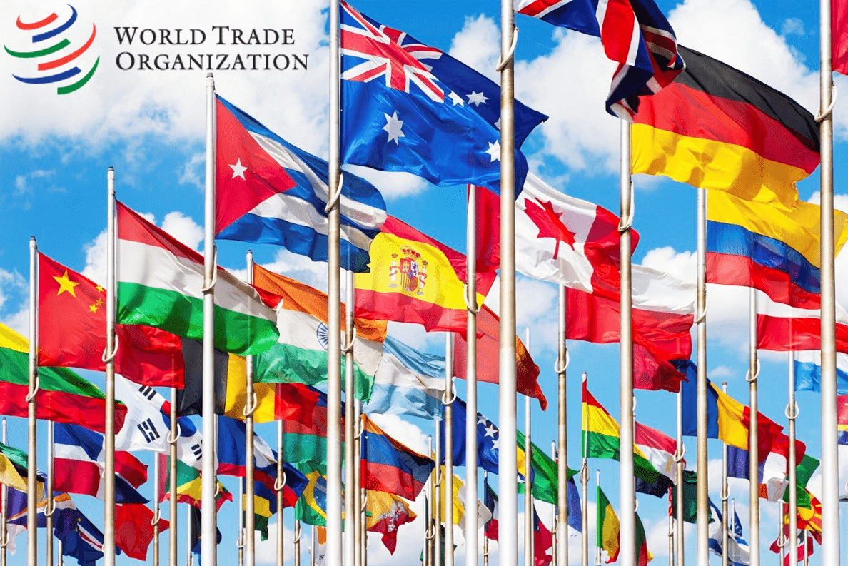 ВТО понизила прогноз роста мирового товарооборота в 2023 году до 1%