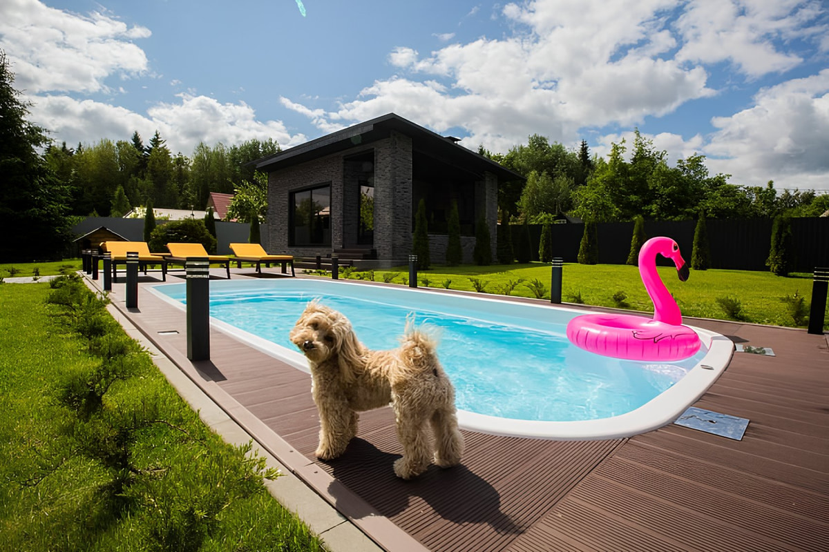 «Черная пятница» от БСБК: покупка, о которой будут говорить твои соседи!