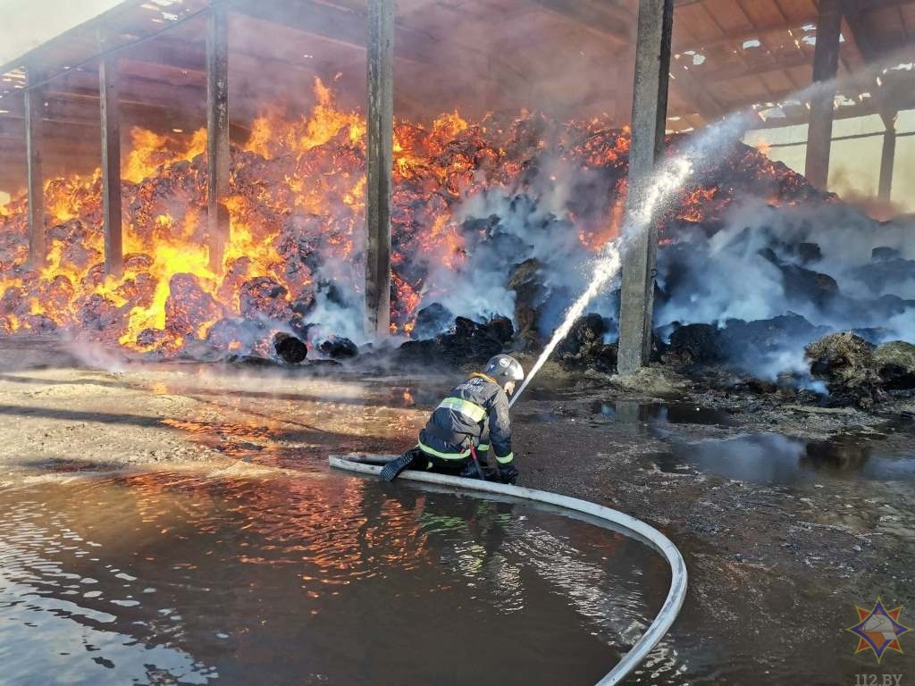 Пожар на льнозаводе в Лиозно: погиб замначальника областного управления МЧС