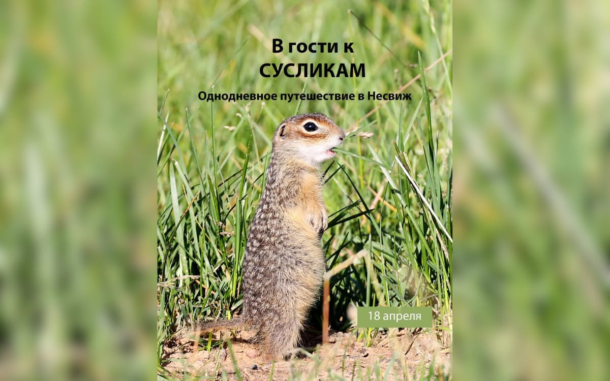 Путешествие в&nbsp;Сусландию и&nbsp;концерт неаполитанского оркестра: афиша с&nbsp;13&nbsp;по&nbsp;19&nbsp;апреля