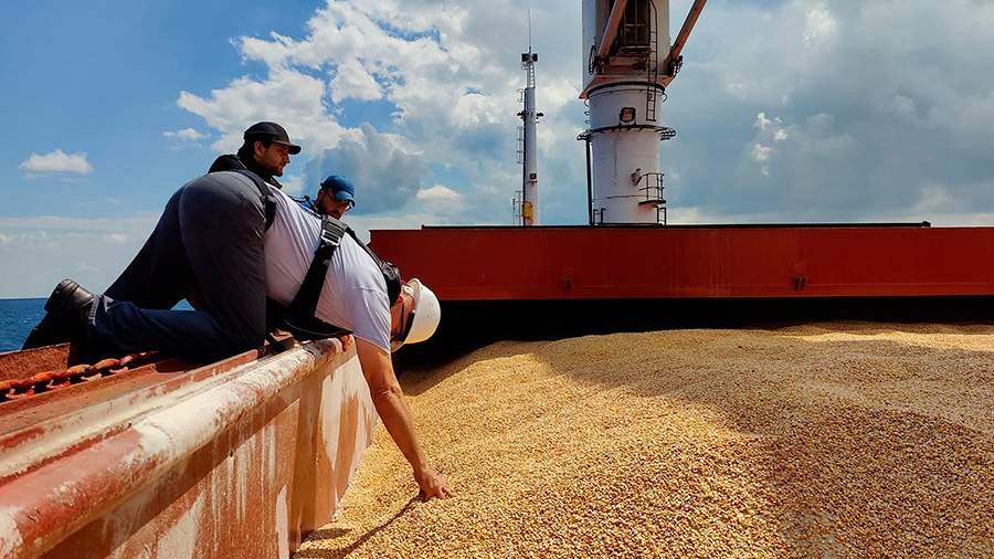 Турция вводит запретительную пошлину на ввоз зерна