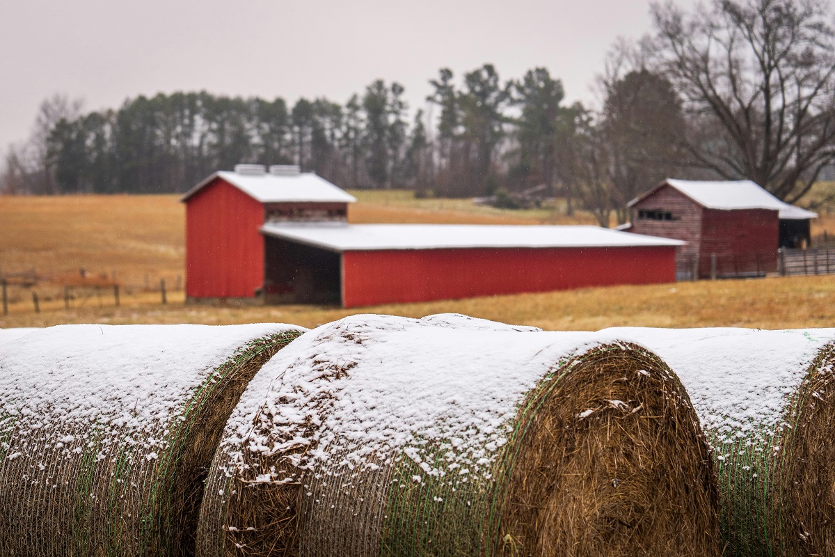 Где же снег и зима? Прогноз погоды на новую рабочую неделю