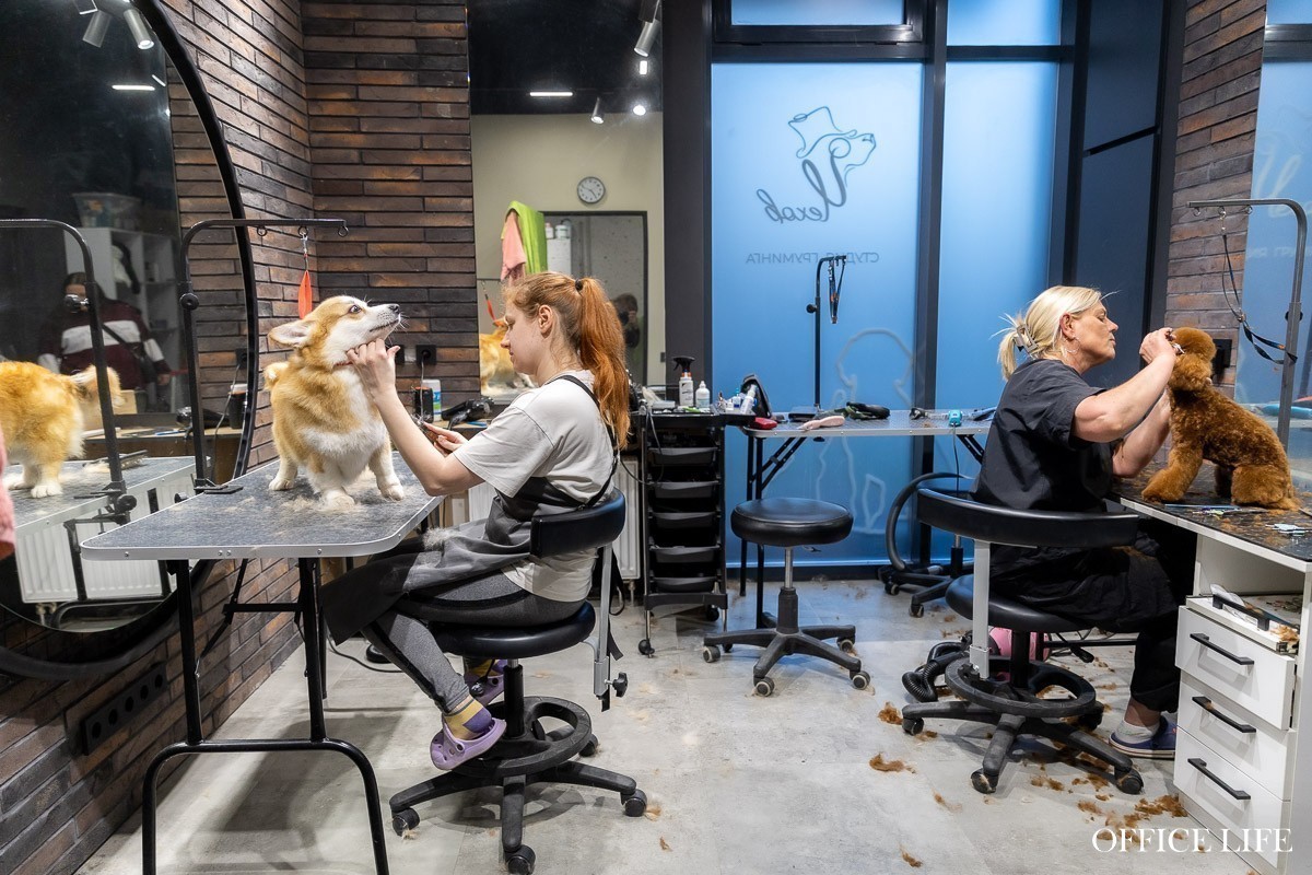 Ни одна собака не пострадала! Как мы тестировали робот-пылесос в салоне для животных