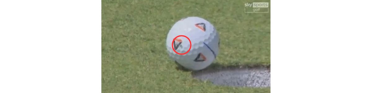 Муха помогла британскому гольфисту выиграть $910 тыс.