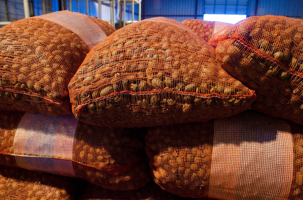 Две страны ЕАЭС получили квоты на беспошлинный ввоз картофеля