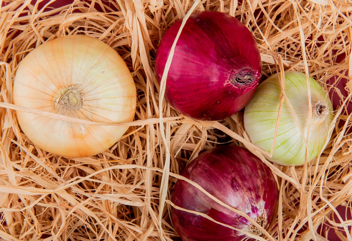 Лук по цене iPhone: витебский Остап Бендер придумал простую схему обмана поклонников Apple