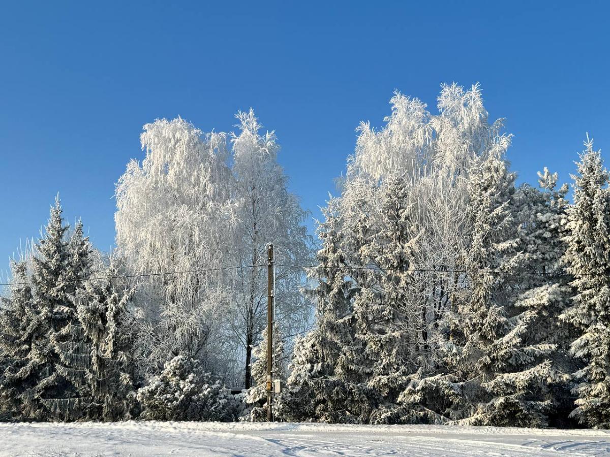 В Беларусь придут сильные морозы. Местами температура достигнет минус 30°C