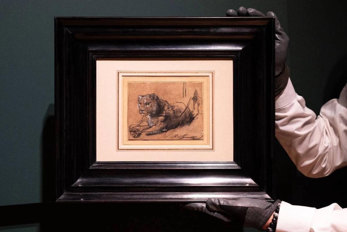 Рисунок Рембрандта продали на аукционе за почти $18 млн. Деньги ушли на охрану диких кошек