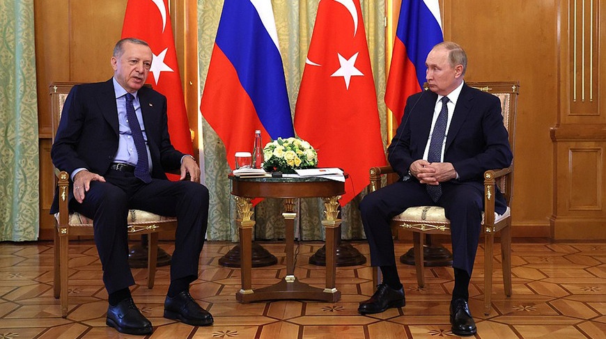 Турция предлагает организовать встречу Путина и Зеленского