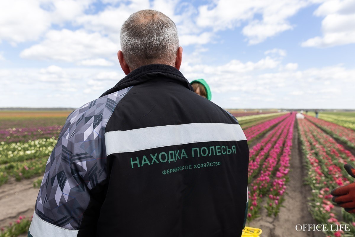 Об&nbsp;этих тюльпановых полях знает вся страна: как кризис и&nbsp;упорство привели к&nbsp;настоящему чуду