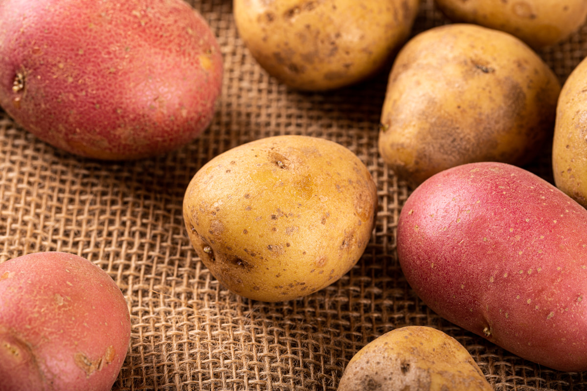 Дранбургер или традиционная бабка? Как картофель пришел в белорусскую кухню и какие блюда из него мы готовим неправильно