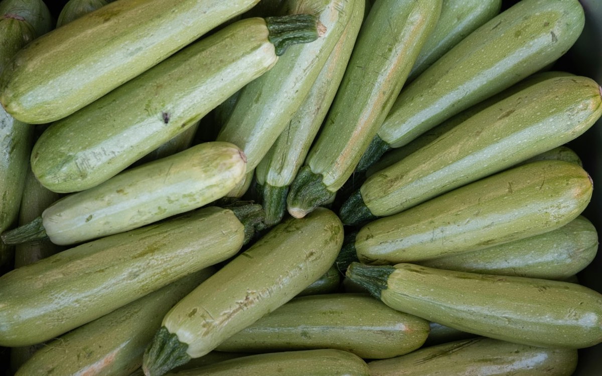 Как отказаться от кабачков и не потерять родных? Разобрали главную летнюю проблему белорусов