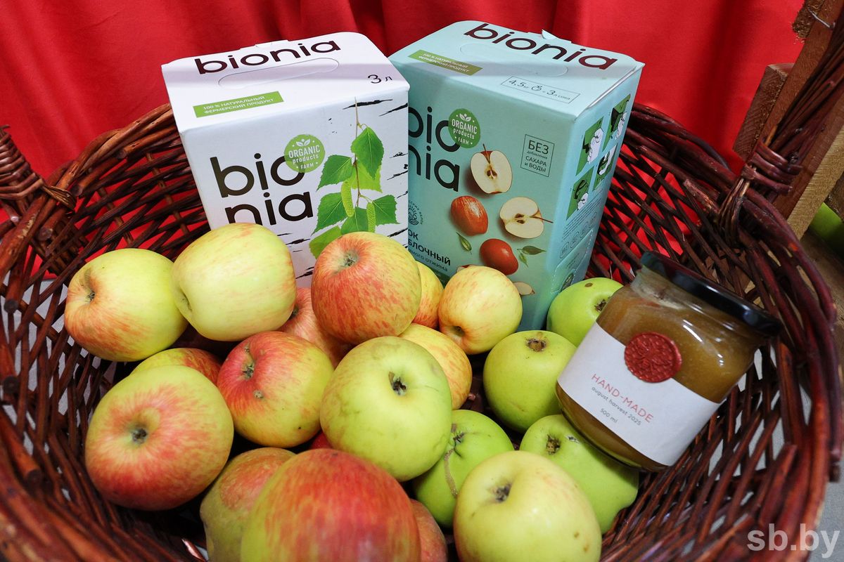 В Беларуси запустили новое производство соков. Что еще открыли к 7 ноября