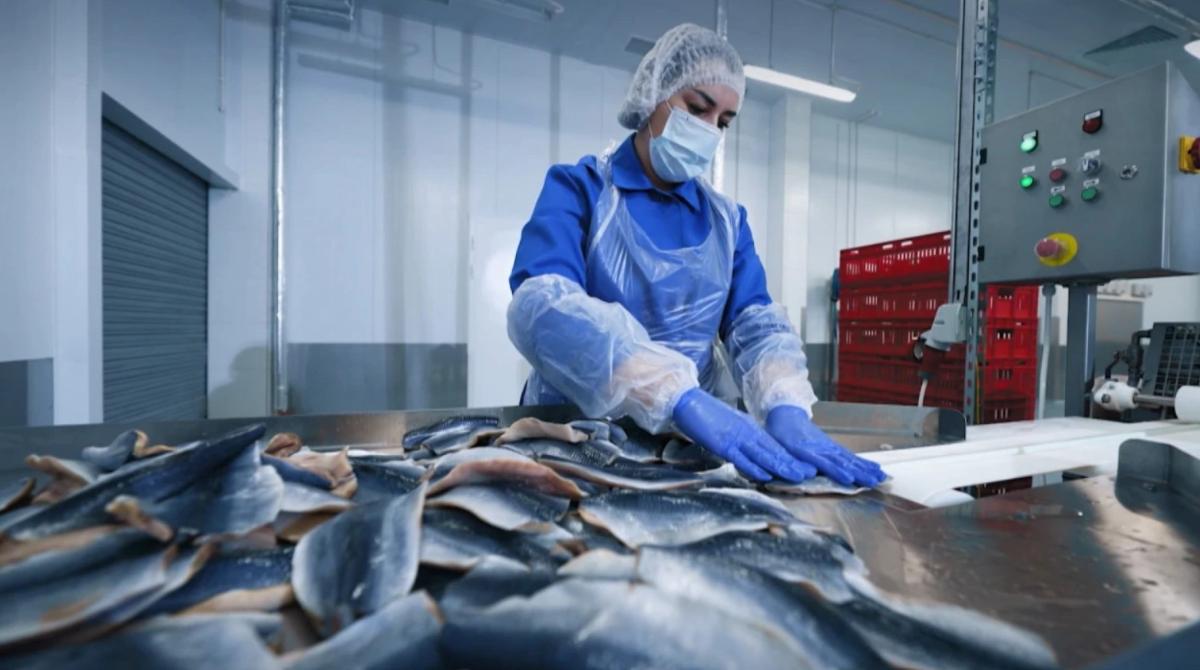 Стали известны подробности строительства завода «Морские сезоны» под Витебском