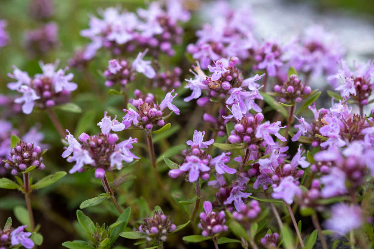 Внимание, кашель! Самая частая ошибка в&nbsp;лечении и&nbsp;признаки, что пора идти к&nbsp;врачу